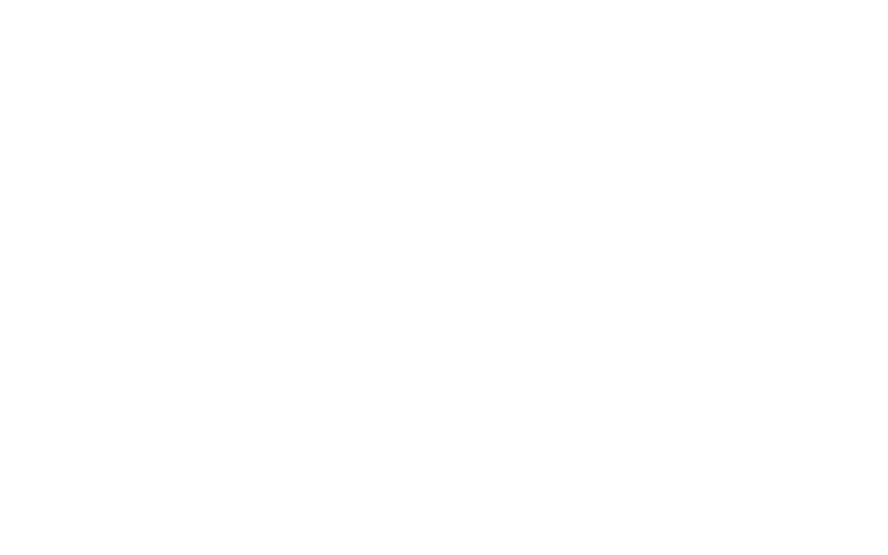 Stable Daytona Spin mobile performance vs browser.